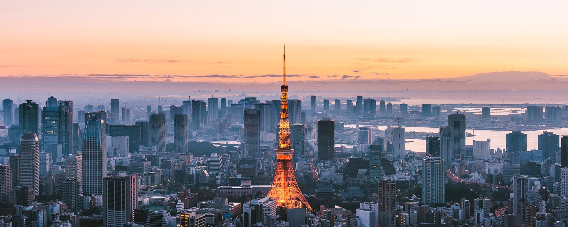 Tokyo skyline in early morning